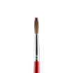 Picture of JUNIOR PAINTBRUSH ROUND
